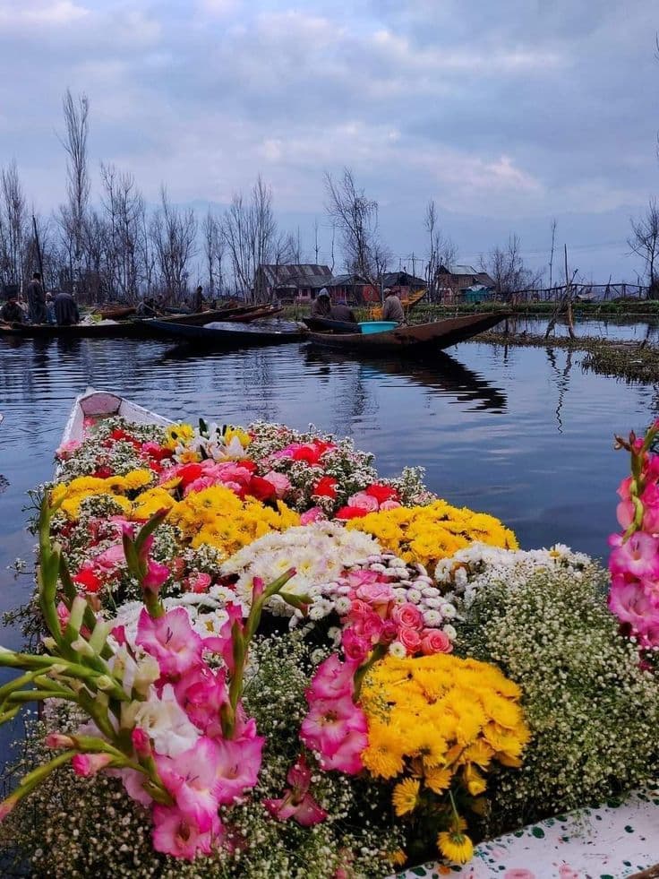 Discover Spring in Kashmir Tulip Season || A Dreamy Kashmir Tour from Kerala