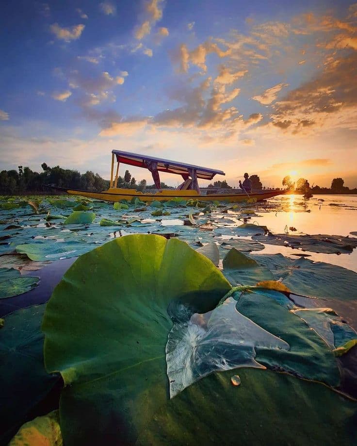 Dal Lake Shikara Ride in Kashmir || Price, Timings & Complete Travel Guide 2026